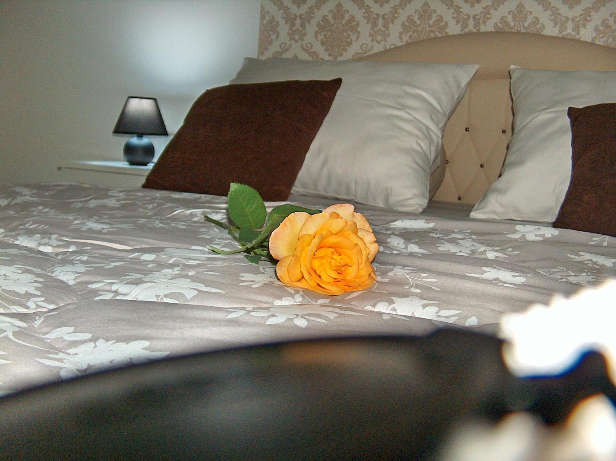 Apartament Happy Star Nisz Zewnętrze zdjęcie