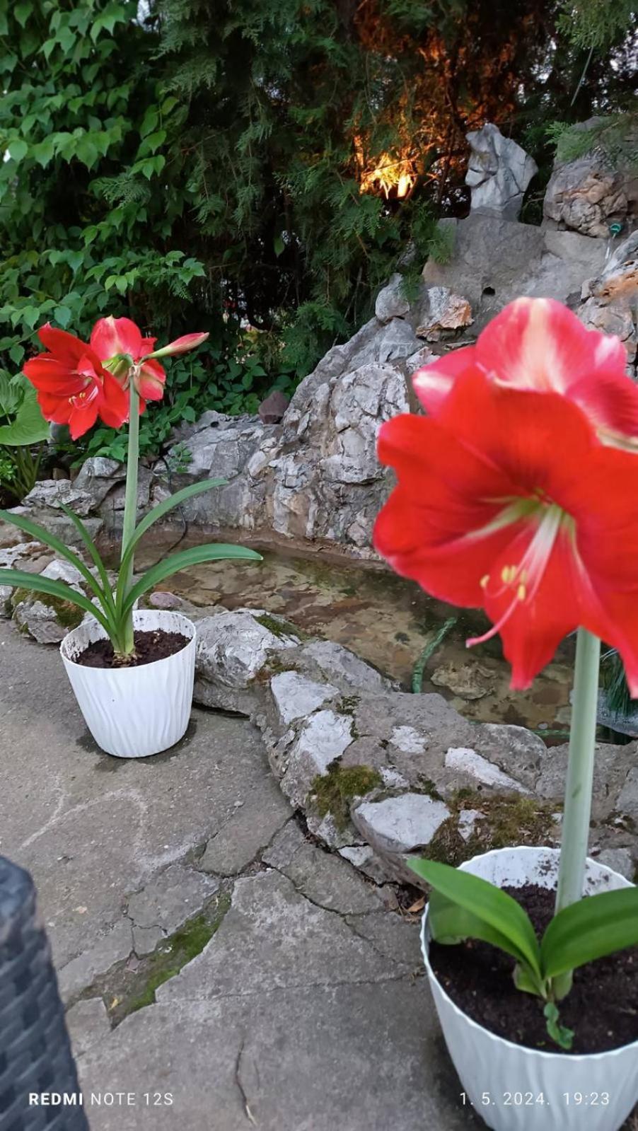 Apartament Happy Star Nisz Zewnętrze zdjęcie