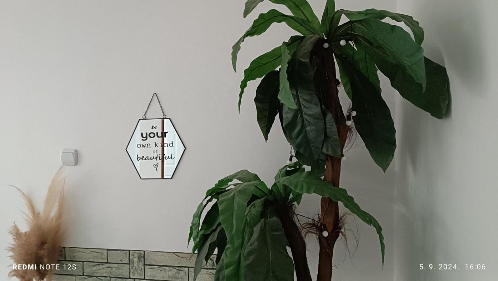 Apartament Happy Star Nisz Zewnętrze zdjęcie